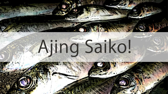 年版 予算別のおすすめアジングロッドを一挙30本ご紹介 Ajingfreak