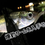 アジングでダートって使ってる おすすめのワーム ジグヘッドをご紹介 Ajingfreak