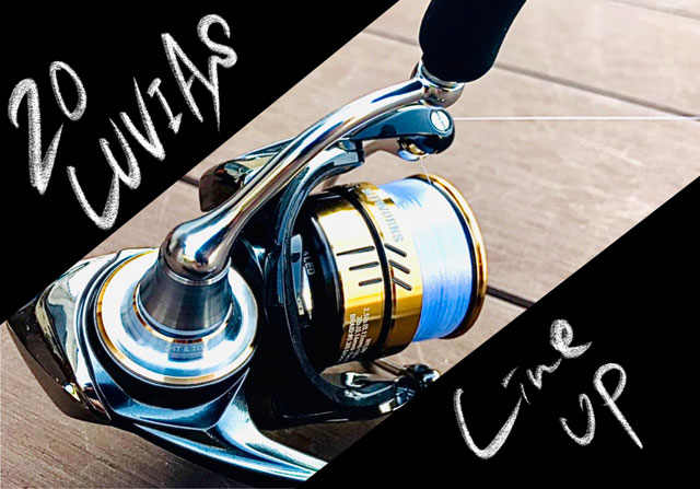 ダイワ Daiwa アジング ルビアスFC LT2000S-XH-