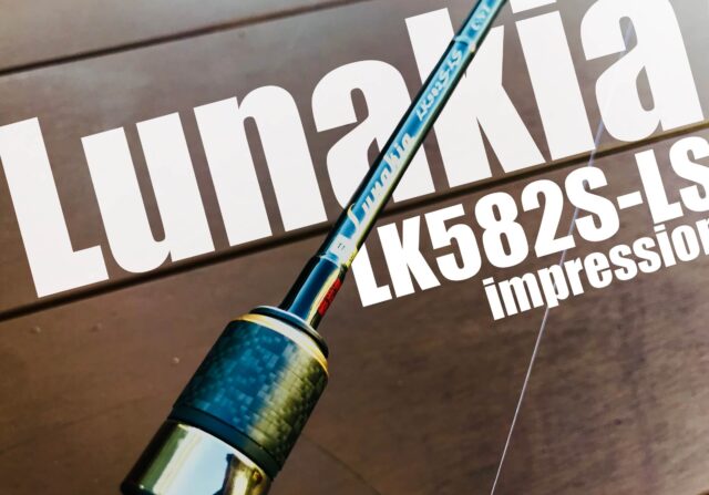 天龍「ルナキア LK582S-LS」をインプレ！荷重感度を極めたクセ強ロッド 