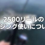 意外とミスる アジング初心者のライン選び フロロしかないでしょ Ajingfreak